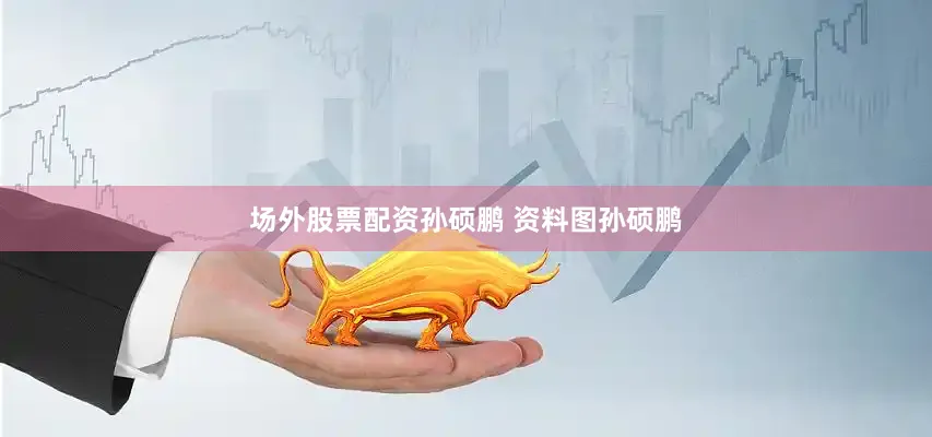 场外股票配资孙硕鹏 资料图孙硕鹏